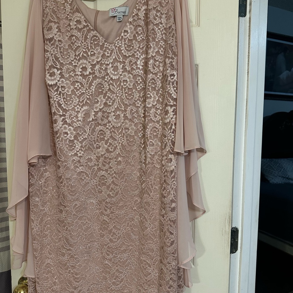BCBGMaxAzria Blush Lace Long Sleeve Dress